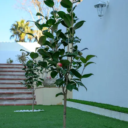 Casinha Branca Fundão