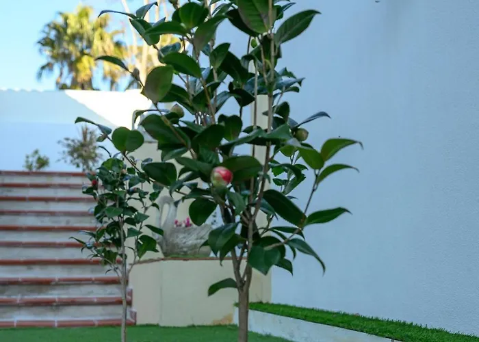 Casinha Branca Fundão